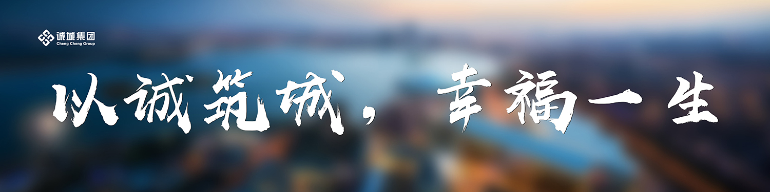 诚城业务